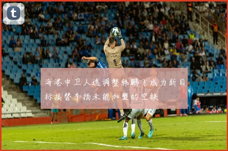 海港中卫人选调整韩鹏飞成为新目标接替李扬未能加盟的空缺