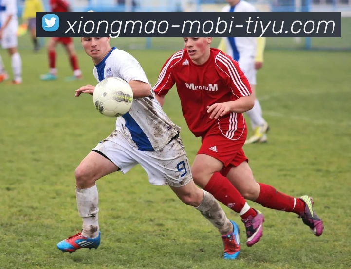 熊猫体育发展历程